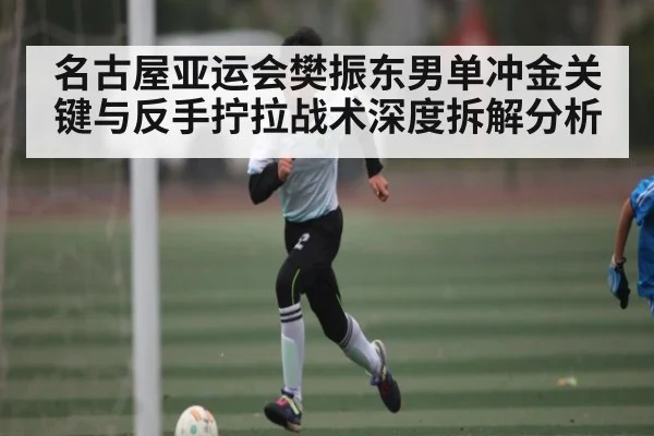 名古屋亚运会樊振东男单冲金关键与反手拧拉战术深度拆解分析